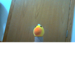 Donald Ducks