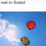 Flyingcat's