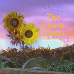 the flow3r family