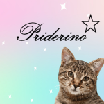 Priderino