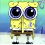 FAN AND FUN SERVER DAYYYYYYYYYYYY