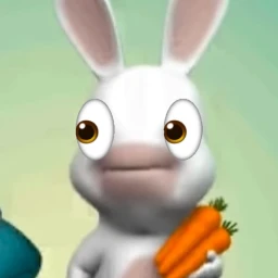 Rabbids Sled n' Fight icon