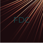 FDC (Fany Designer Clothing)