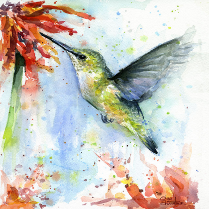 hummingbird_painting Roblox decal
