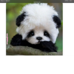 Panda it panda