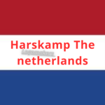 Gemeente | Haarlem Hulpdiensten - Nederland