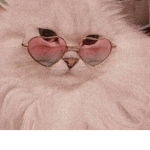 Aesthetic cats!!!