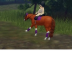 Horsey’s!