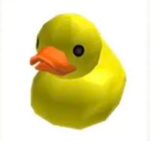I_love_animal's