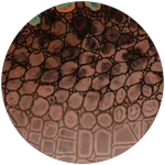 Game Badge Icon