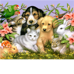 Animal Lovers And Respecters