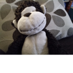 MonkeyGamin