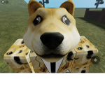 DOGE NATION/ARMY GROUP