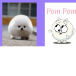 The fluffy/Pom Pom