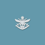 Royal Australian Air Force | AUS