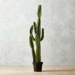 Cactus Jumper