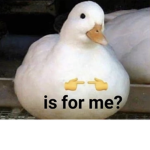 Ducky Spys