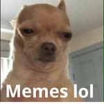 Memes and Stufff