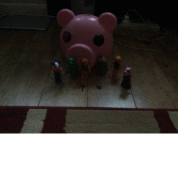 Pigs