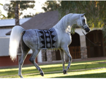 Starwalk stables