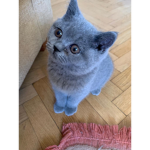 Cute be like