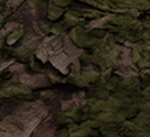 shades1337