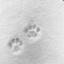 ♱
