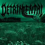 Detrimental Development