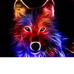 loXy