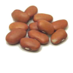 Big Bean Studios