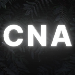 Cosmic Nation's Army