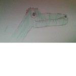 slippery spino fan group