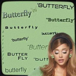 positions tour - butterfly show (BETA)