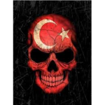 Dark Turkey Power
