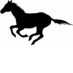 Hidden Springs Stables