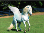 Spaceunicorn8611