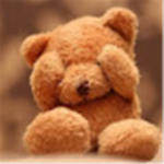 the teddys :D