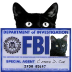 Secret Cat Agency [S.C.A]