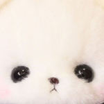 내 친구들 모음 그룹!