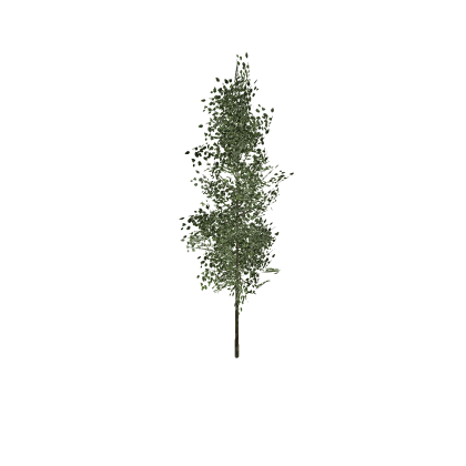 Realistic Tree (Optimized)