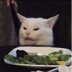 MemeMeows Home