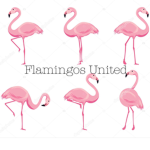 |:|Flamingos United|:|
