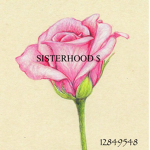 SISTERHOOD $