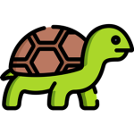 the best turtle group ever