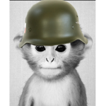 United republic forces