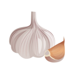 Garlic Interactive