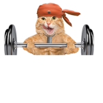 Strong car