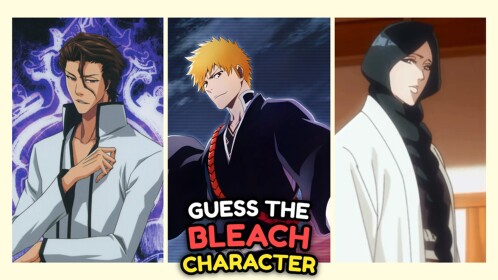Guess the Bleach Character!