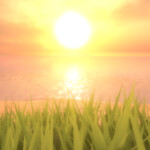 Sunset Island