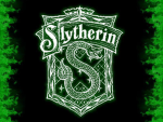 Slytherin Fanatics